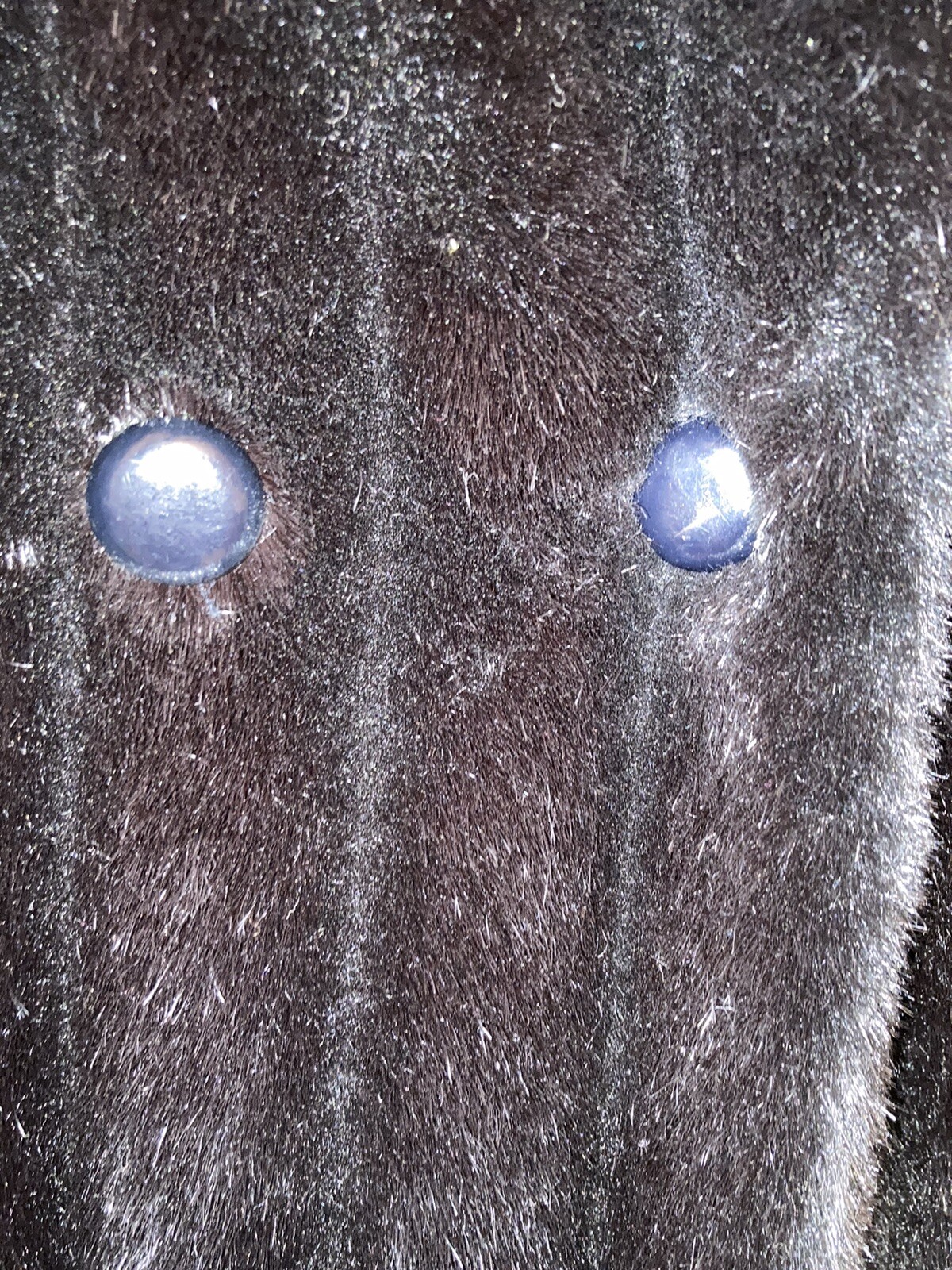 Vintage Intrigue Luxury Fabric by Glenoit Faux Mink Coat Rich Black Mint Size 12