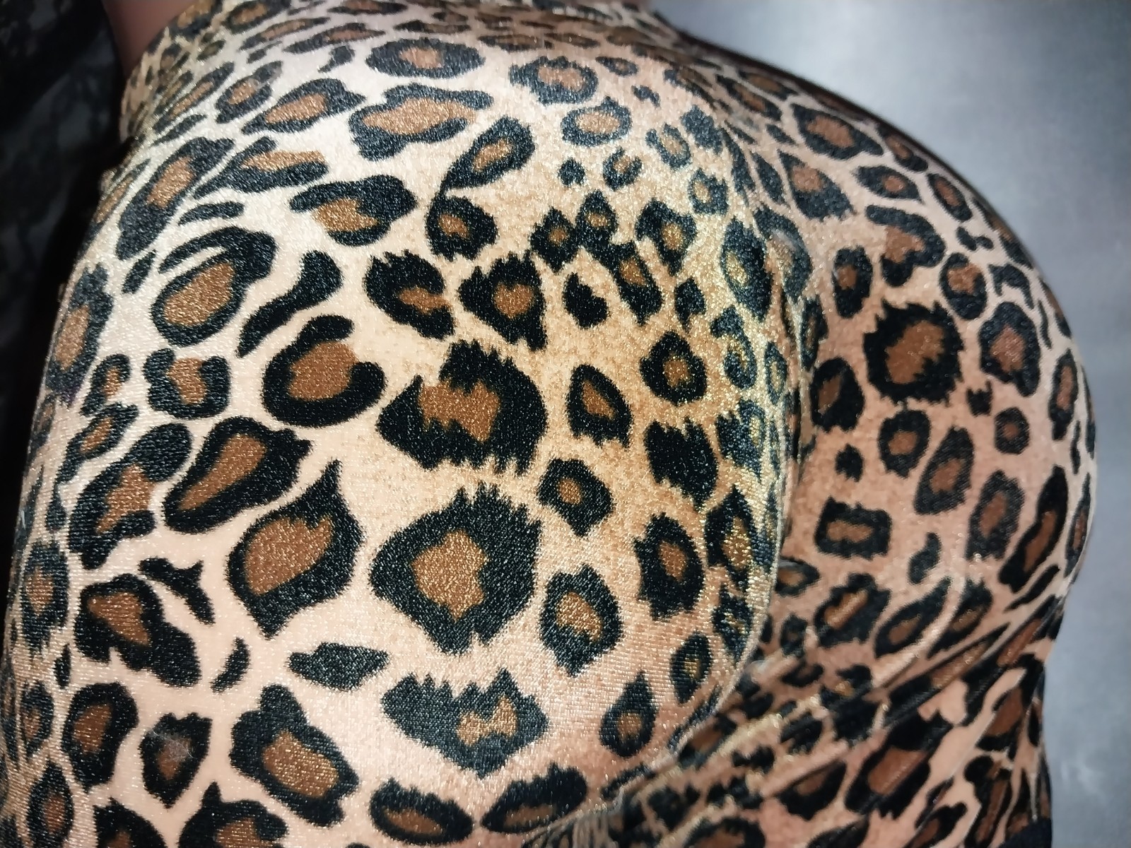 VTG 80S CAT PANTS OPAQUE INSERTS SHEER SPANDEX SKINNY LEG SCARCE S M L NOS