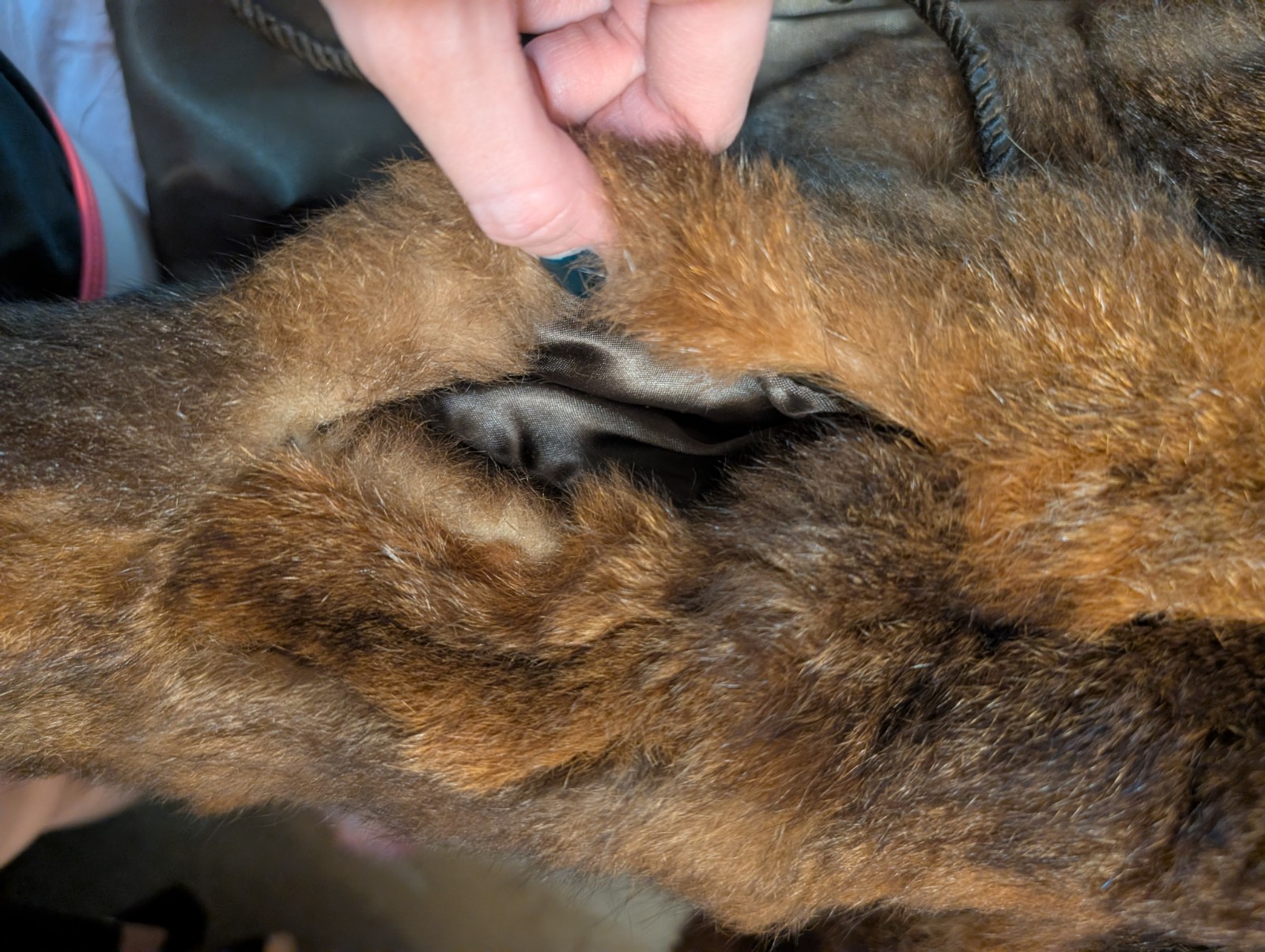 Extra Small Brown Genuine Fur Coat Jacket with Satin Lining, Tie Closure