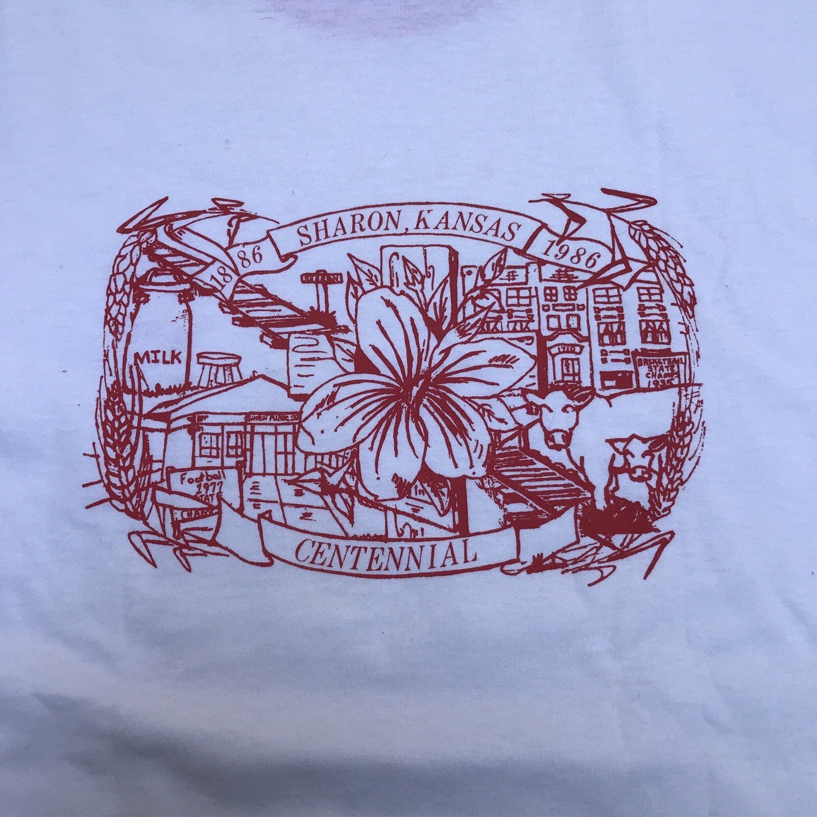 Vintage 80s Sharon Kansas 1986 CENTENNIAL 1986 T-shirt Tee M USA Single Stitch