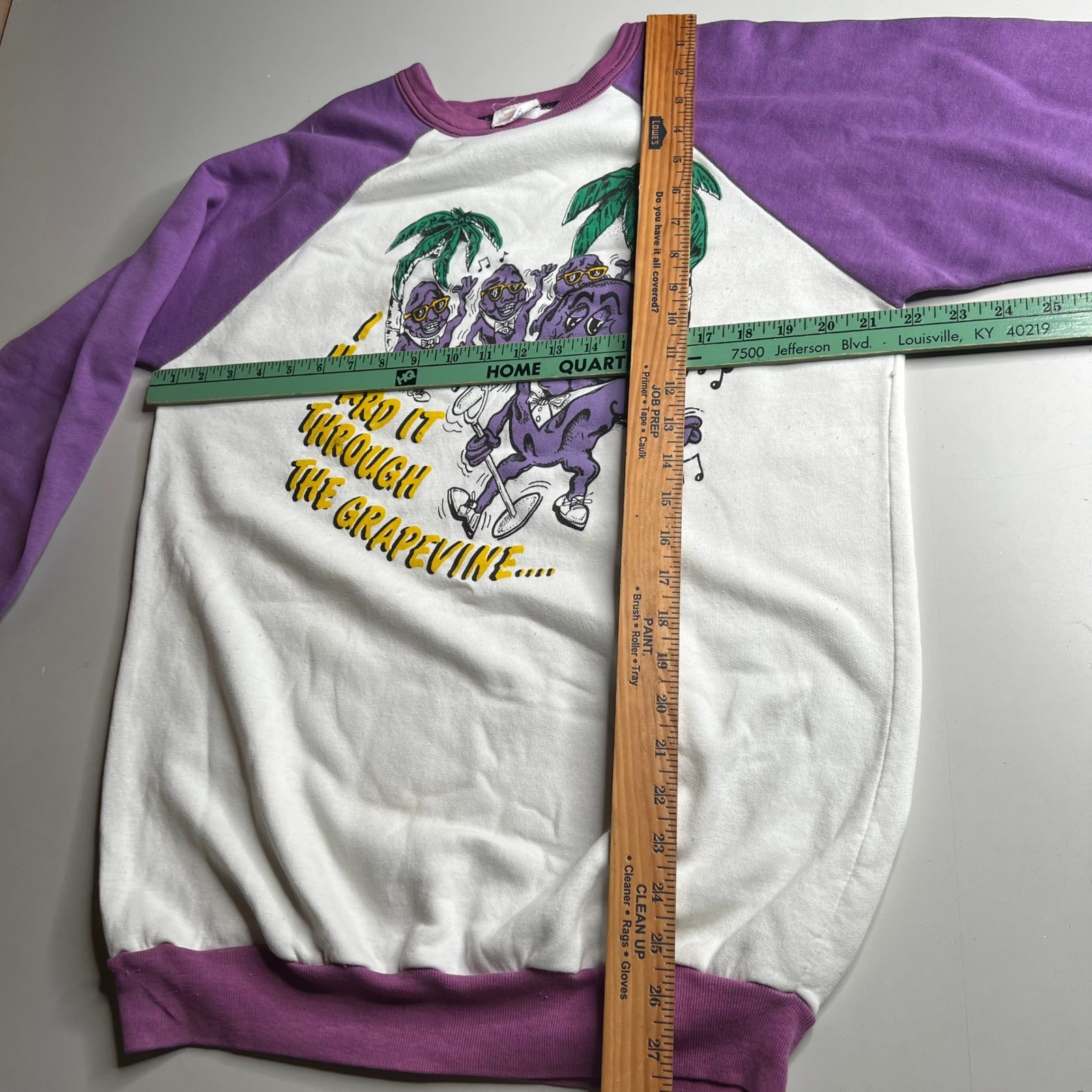 Vintage 80s California Raisins Sweatshirt Purple Raglan American Sportswear L