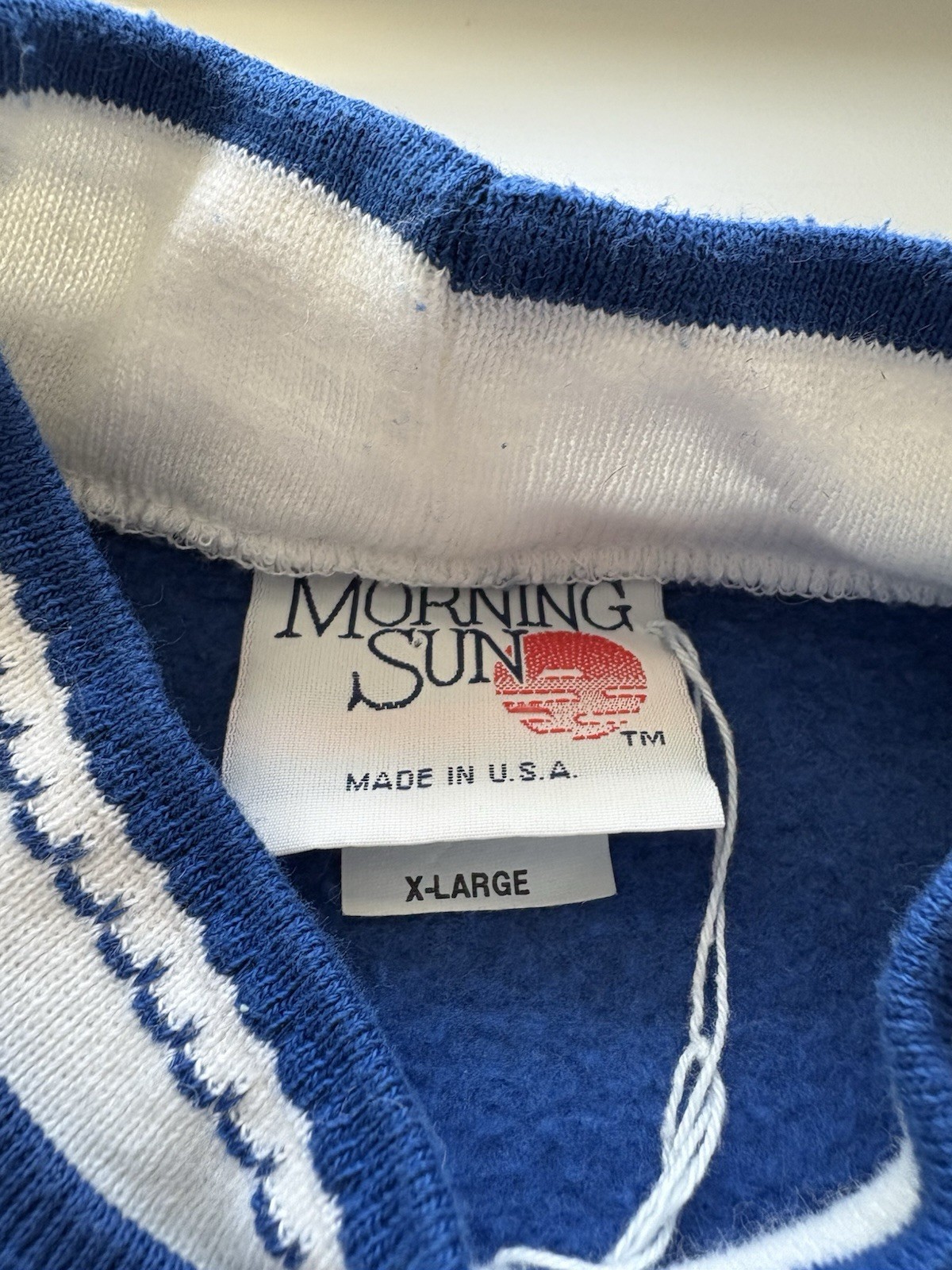 Vintage Morning Sun 90s Streetwear Women XL Farmhouse Flower Sweatshirt Blue USA