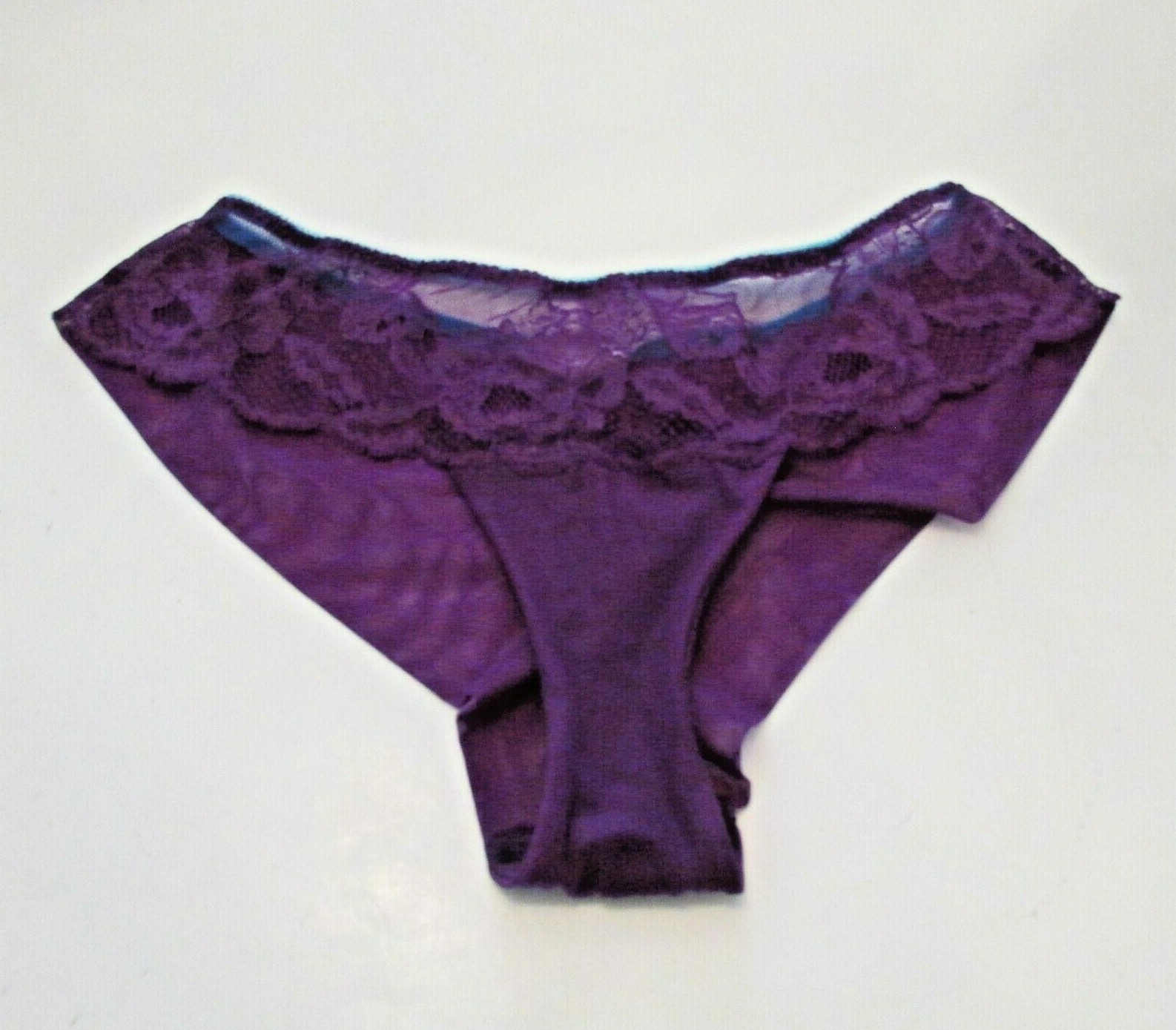 Victoria’s Secret Purple Mesh back Chantilly Lace Front Hiphugger Bikini Panty M