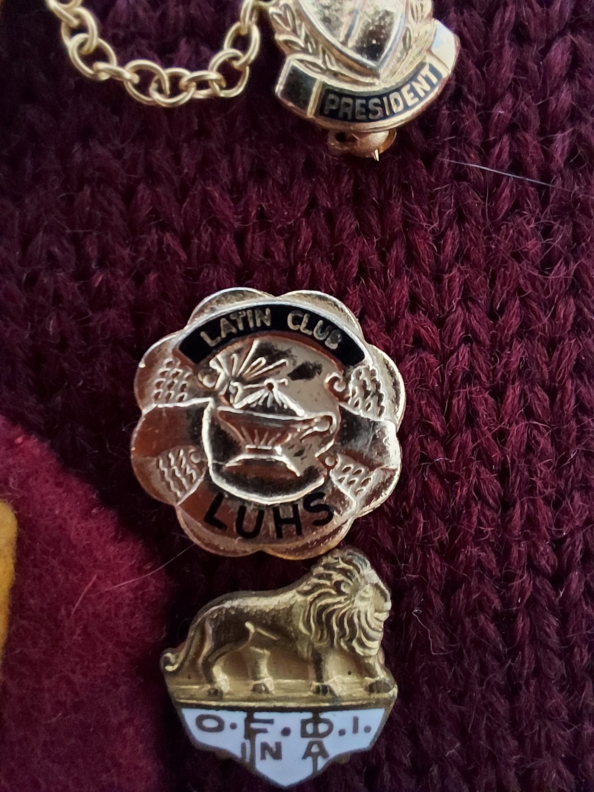 Vintage 1959 California Wool Varsity Letter Sweater with Original Pins