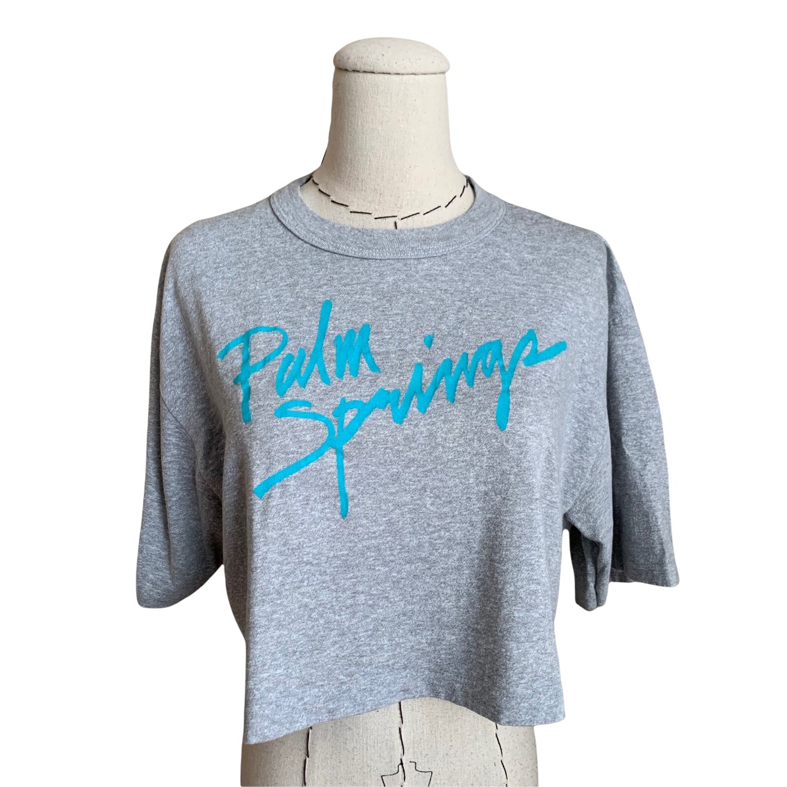 Vintage 80s Palm Springs Crop Top Single Stitch T-Shirt Graphic Rad Heaven