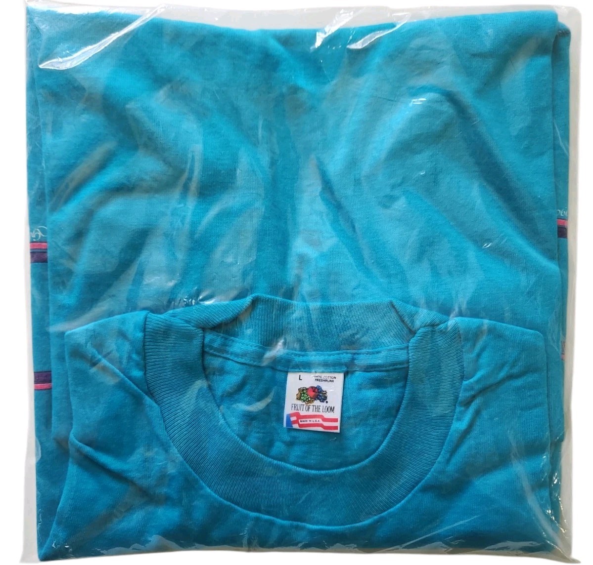 Vintage 1990 NIP Fruit Of The Loom T-shirt Teal Houston Texas Chic Rodeo Graphic