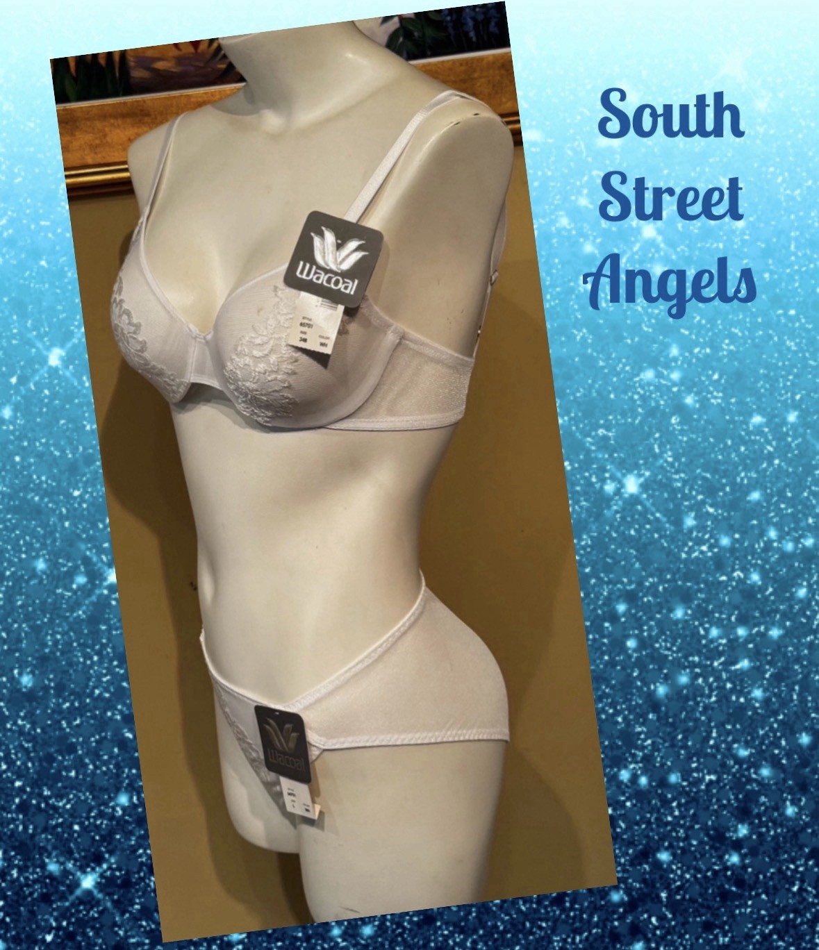 VINTAGE WACOAL 65701 64701 WHITE SHEER EMBROIDERED BRA PANTY SET BRIDAL 34B / L