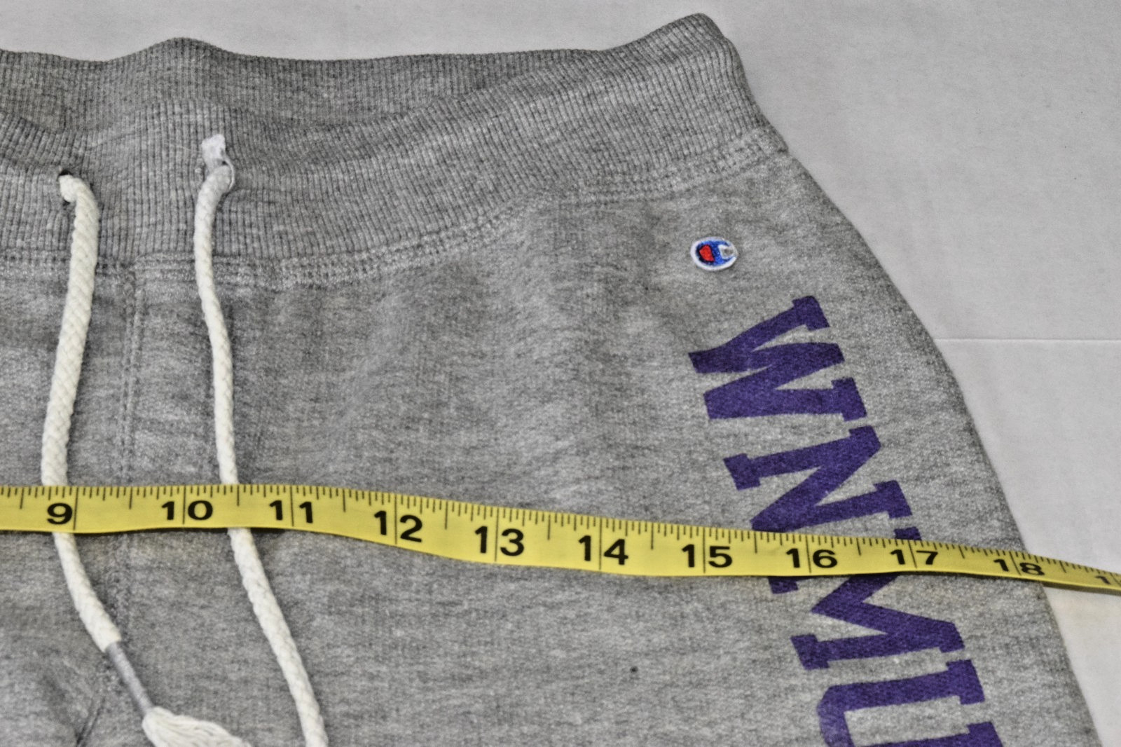 Vintage Sweatpants Champion Size S Y2K Gray WNMU Print Left leg Mustangs Patch