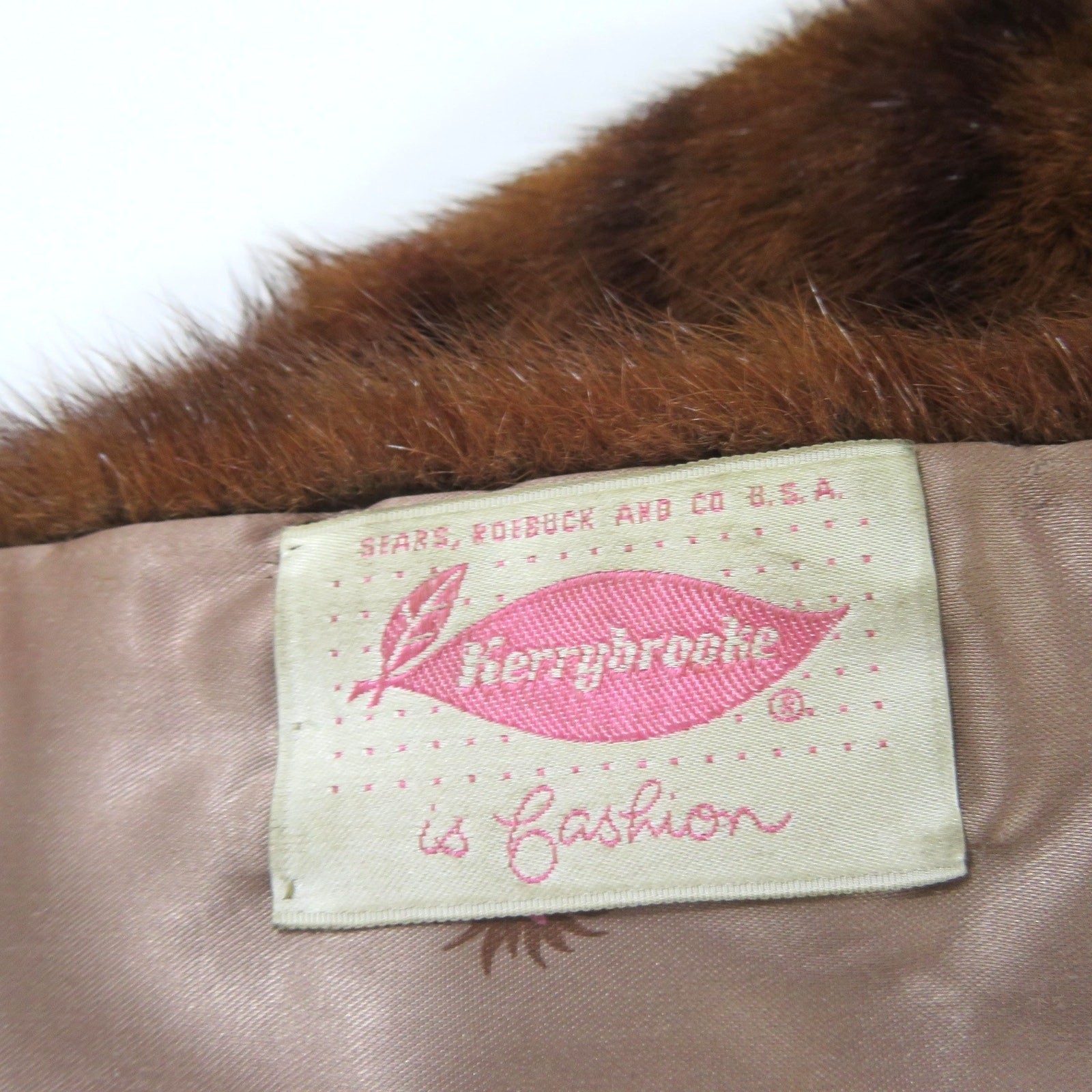 Long Fur Stole Cape Shawl Shoulder Wrap Sears Kerrybrooke Mink?