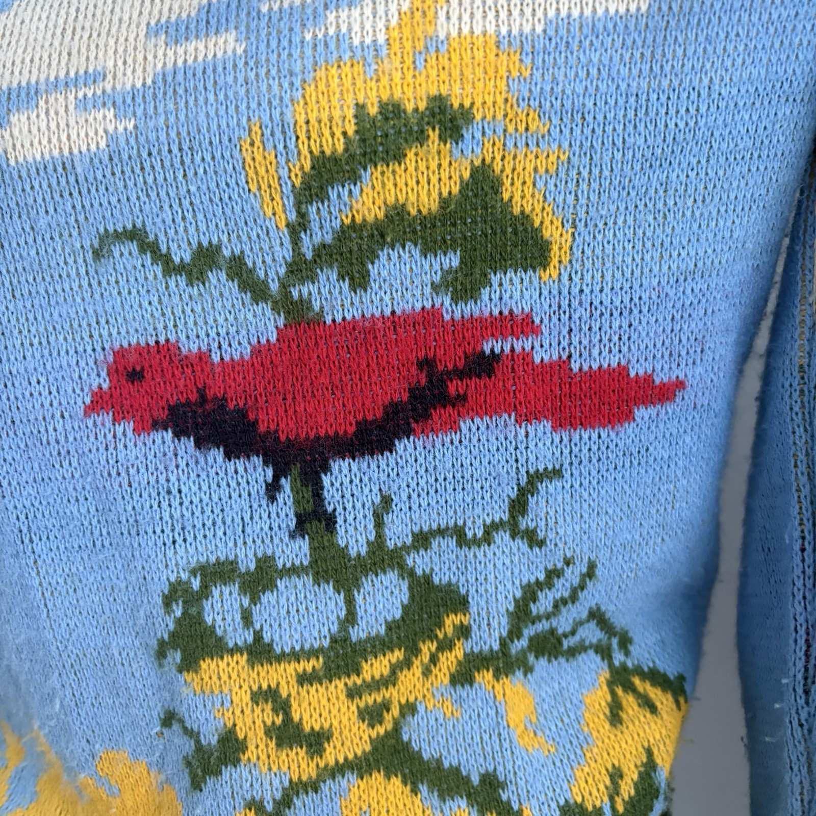 Vintage 60’s 70’s Expressions by Campus Cardinal Bird Scenic Novelty Sweater S/M