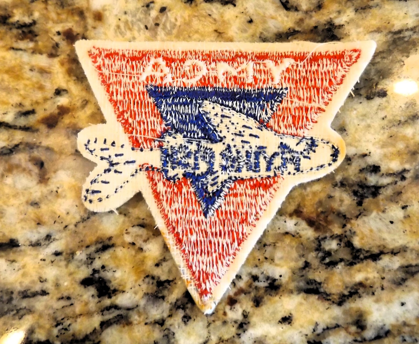 VINTAGE BATHING SUIT FLYING FISH HIGH QUALITY PATCH FRAME AT BEACH / LAKE HOUSE