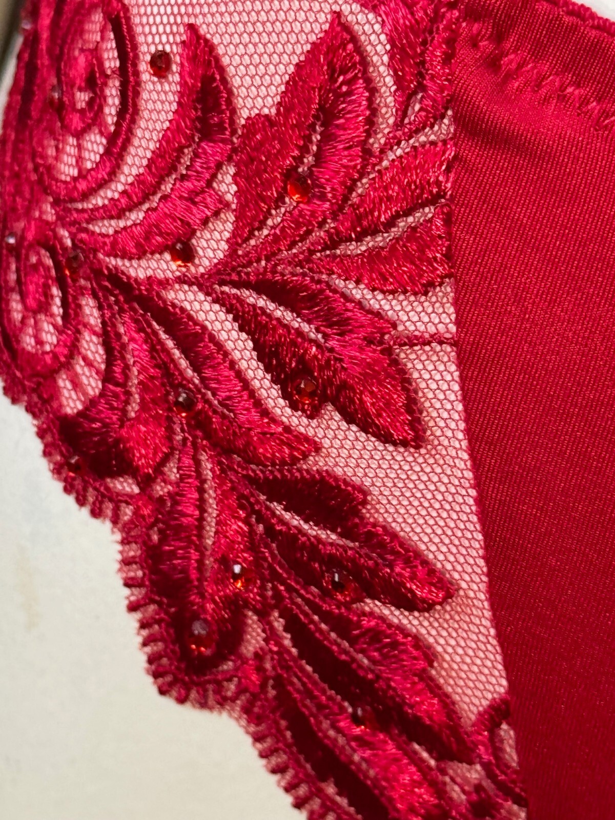 VINTAGE SOMA RUBY RED ~ SENSUOUS LACE SPECIAL EDITION THONG PANTIES MEDIUM NWT