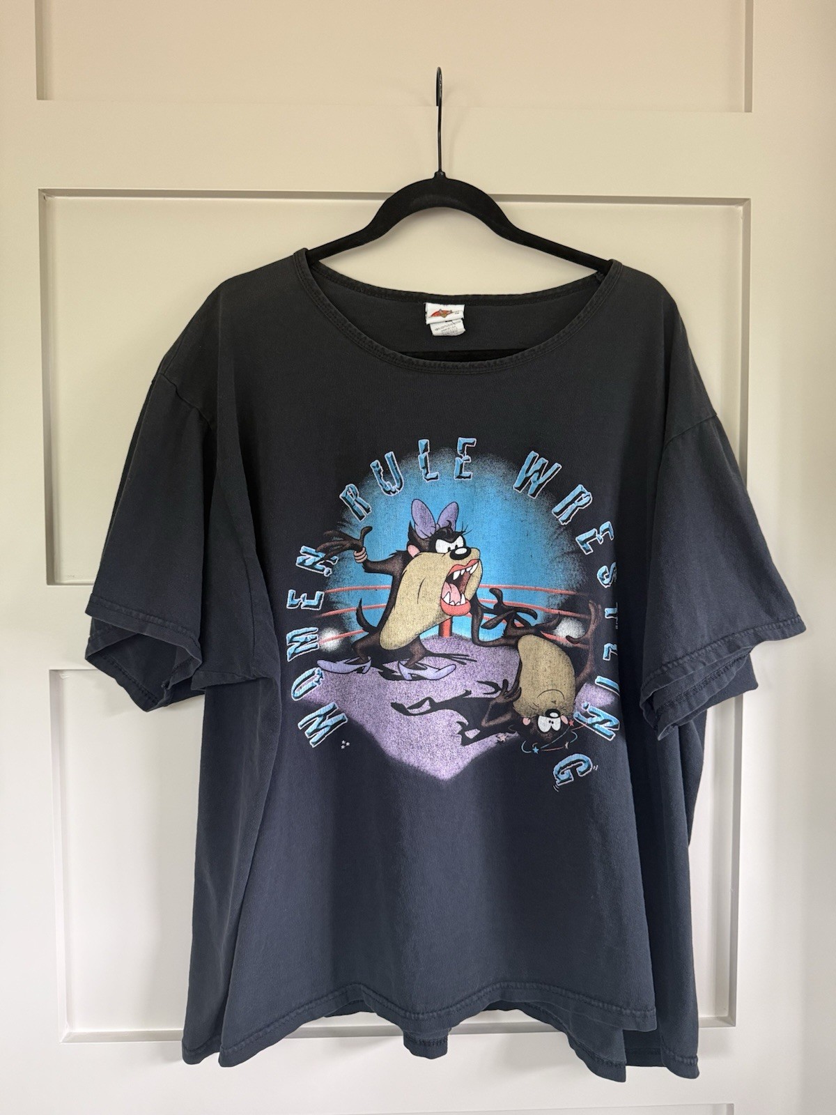 Vintage Tasmanian Devil Graphic 26W 28W Vintage 90s Y2K Looney Tunes Tee Women