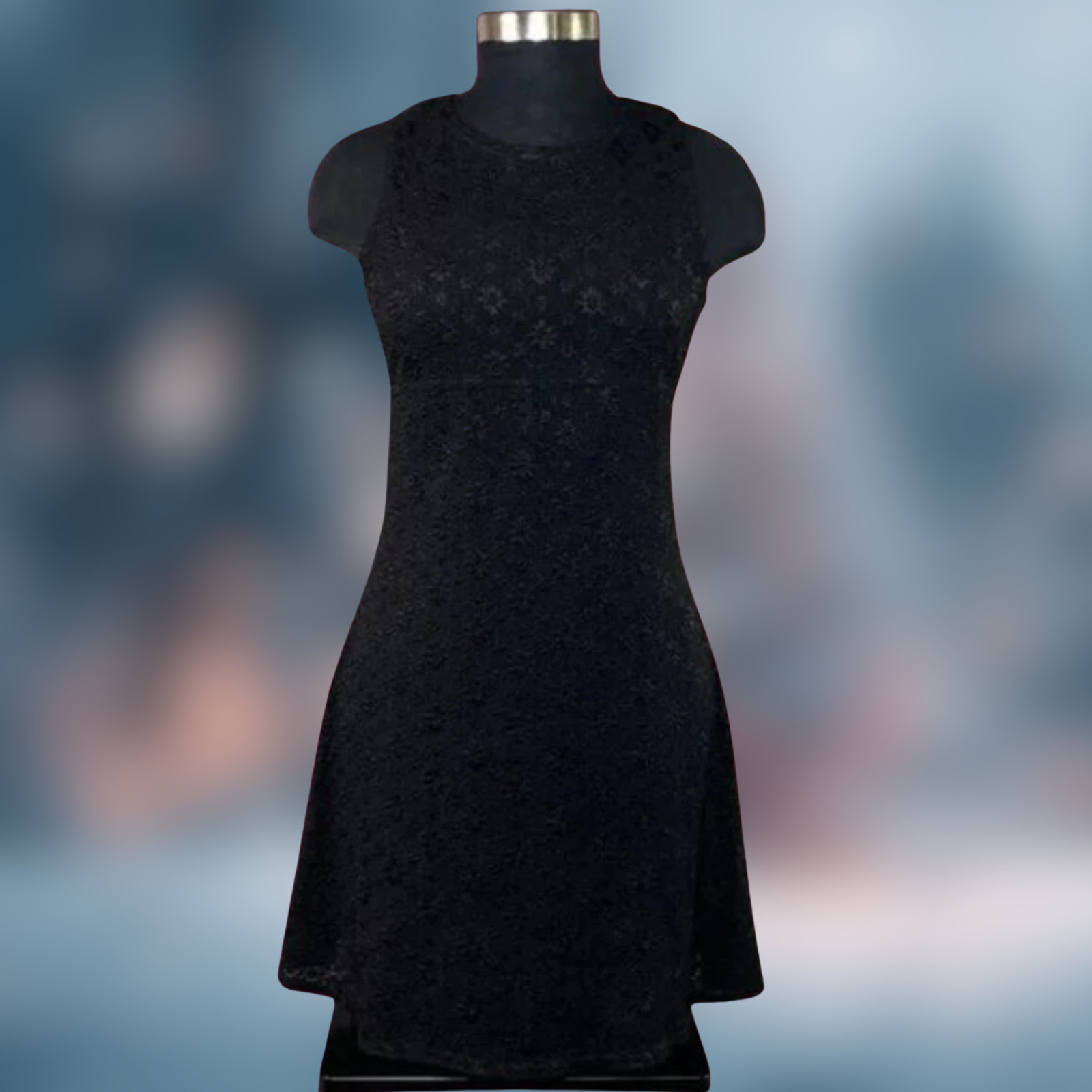 La Belle Women’s Black Whimsigoth Lace Dress L Sleeveless Flared