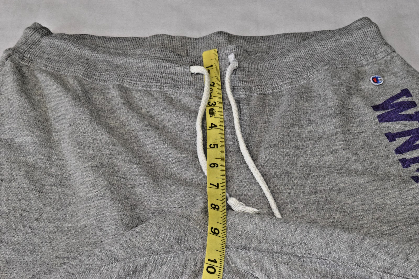 Vintage Sweatpants Champion Size S Y2K Gray WNMU Print Left leg Mustangs Patch